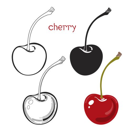 Cherries. Vector cherry, four different options on white
