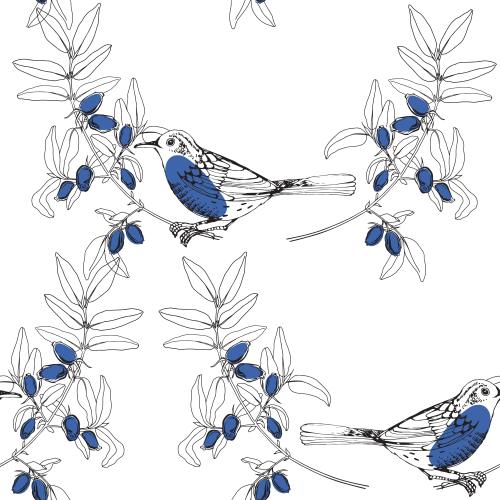 Honeysuckle. Vector little birds and honeysuckle on white