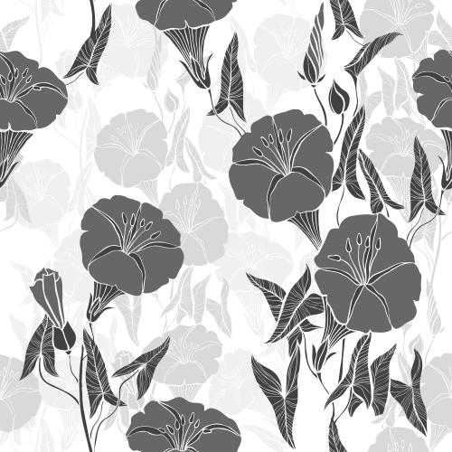 Bindweed. Vector blooming morning glory on white