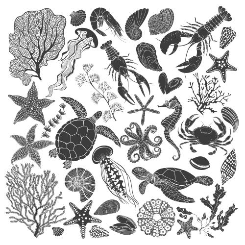 Turtle. Vector marine animals, corals, algae, sea stars, shells, black silhouettes on white