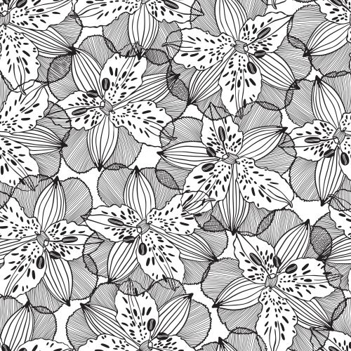 Iris. Vector iris flowers black outlines on white