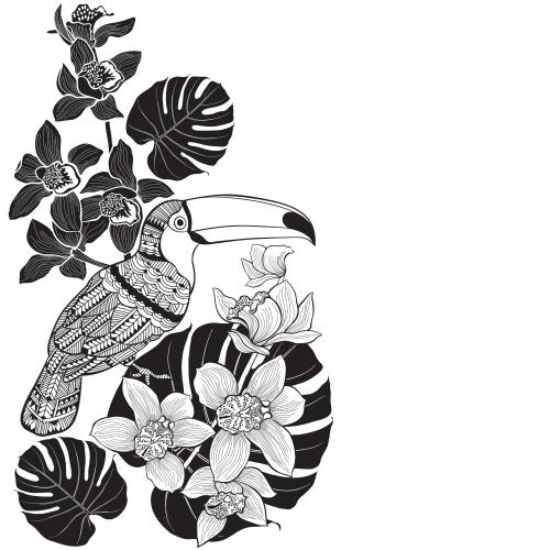 Palm. Vector corner composition with a toucan orchids palm leaves and space for text on white