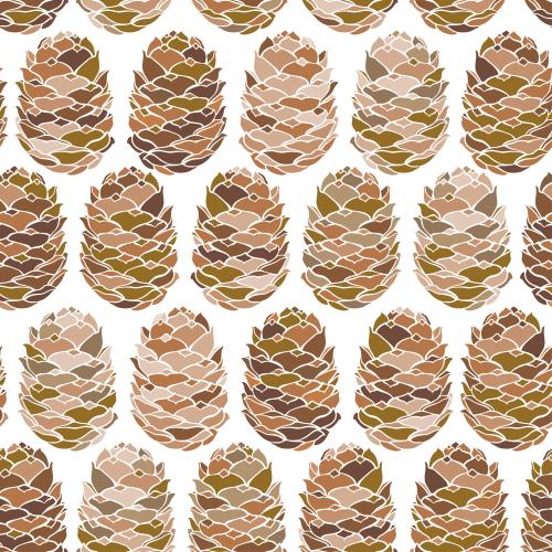 Cone. Vector cedar cones on white