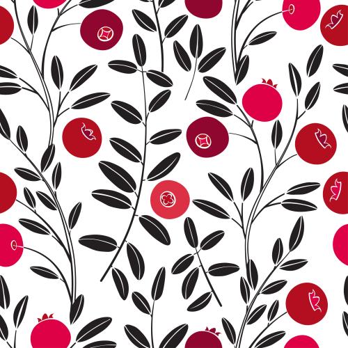 Cranberry. Vector cranberry branches with berries on white