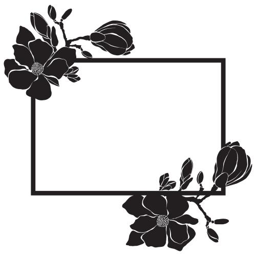 Bud. Vector magnolia rectangular frame with flower silhouettes on white