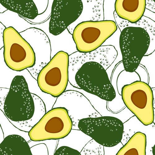 Avocado. Vector avocado whole fruits and halves on white