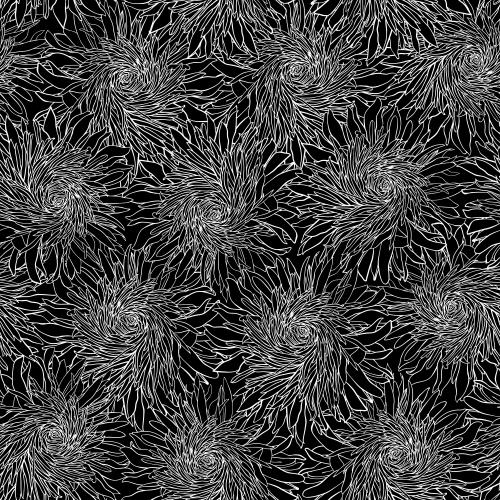 Chrysanthemum. Vector openwork white contours of chrysanthemums on black