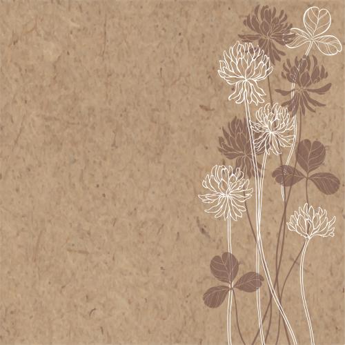 Illustration clover flowers and leaves text area on craft