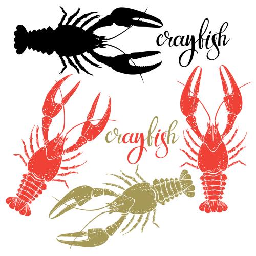 Female. Vector crabs black and colored silhouettes on white