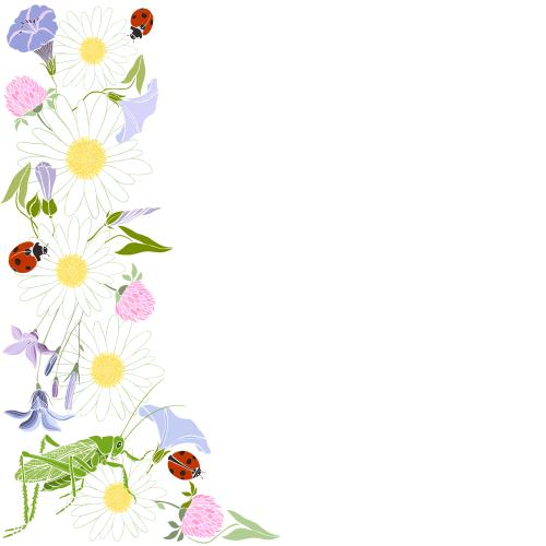 Floral. Vector daisies, bellflowers, clover, bindweed, ladybugs, grasshopper, place for text on white