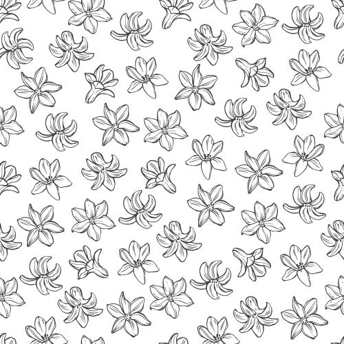 Illustration hyacinth flowers on white