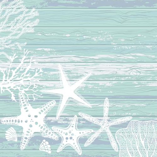 Tree. Vector marine-themed composition with sea stars corals algae shells and text space on colored wooden boards