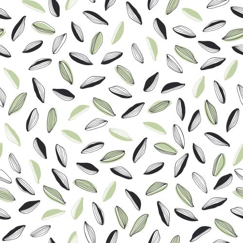 Cardamom. Vector cardamom on white