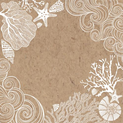 Vector image sea stars shells nautilus corals decorative waves text area on craft