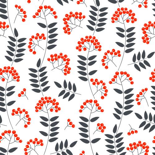 Berry. Vector monochrome rowan branches leaves and red berries on white