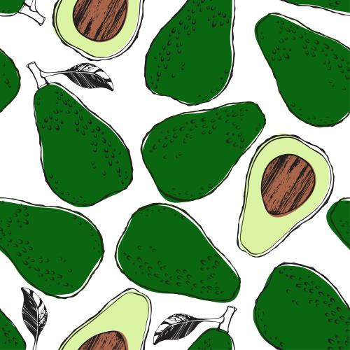 Avocado. Vector colorful avocados whole and halves on white