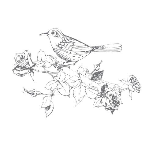 Rose. Vector bird sitting on a blooming pink bush