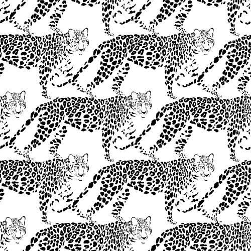 Leopard. Vector leopards on white