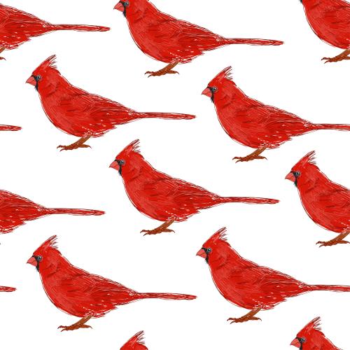 New year. Vector red cardinals birds on white