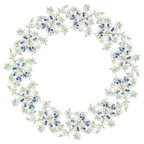 Juniper. Vector colorful round frame-wreath from juniper branches on white