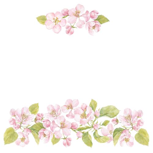 Raster image watercolor flowers and apple tree leaves, space for text on white