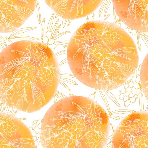 Sea buckthorn. Vector sea buckthorn branches with berries on round orange watercolor fragments contours on white