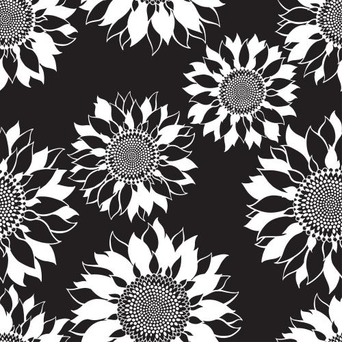 Sunflower. Vector white decorative sunflower silhouettes on black