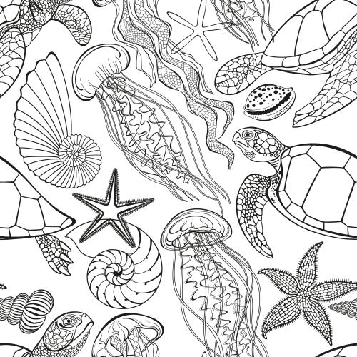 Nautilus. Vector turtles, jellyfish, sea stars, shells, nautilus on white