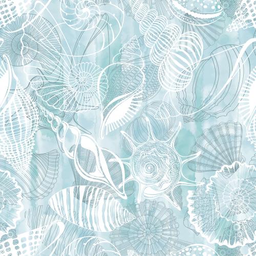 Vector image shells nautiluses comb shells sea urchin silhouettes and outlines on a blue watercolor