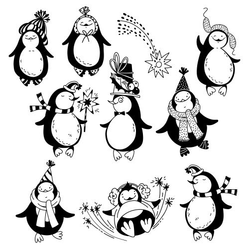 Penguin. Vector cartoon penguins on white