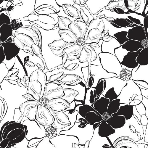 Bud. Vector magnolia, contour flowers and silhouettes on white