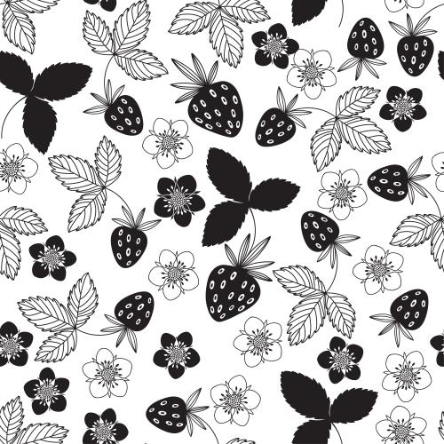 Strawberry. Vector strawberry, flowers, leaves and berries, black silhouettes and outlines on white