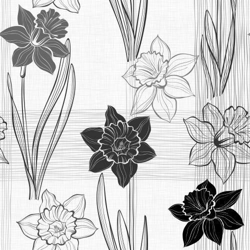 Daffodil. Vector daffodils intersecting vertical and horizontal lines on white checkered