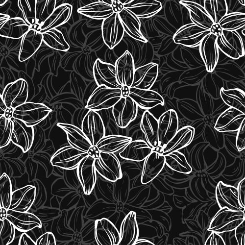 Hyacinth. Vector hyacinth flowers on black