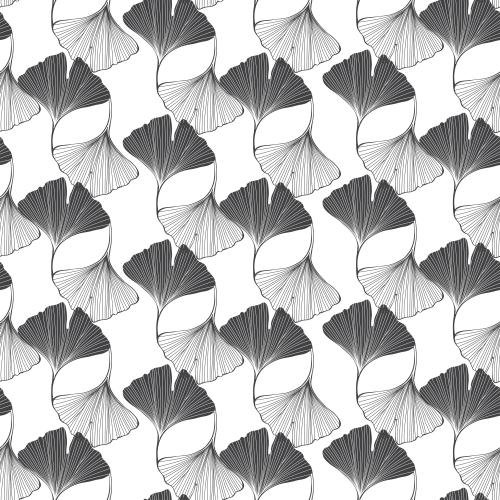 Ginkgo biloba. Vector ginkgo biloba, contours and silhouettes on white