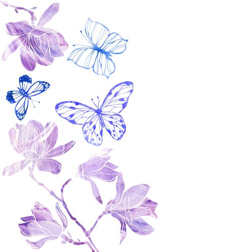Raster image magnolias butterflies place for text on white