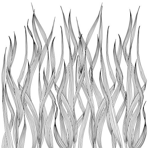 Grass. Vector grass on white
