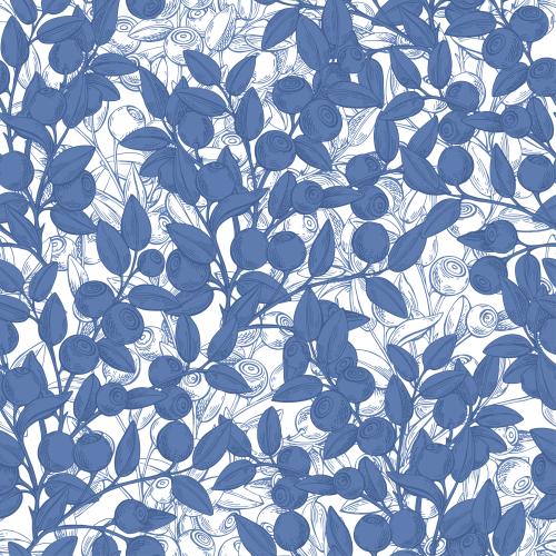 Illustration blueberry branches with berries, silhouettes and contours on white