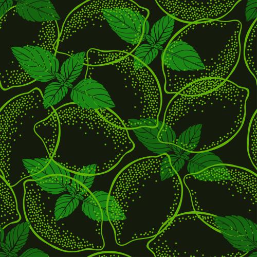 Spice. Vector limes and mint leaves on black