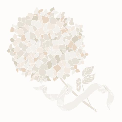 Hydrangea. Vector hydrangea flower with ribbon, pastel colors