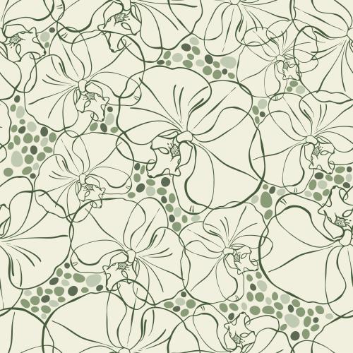 Orchid. Vector flowers orchids, contours on a light green