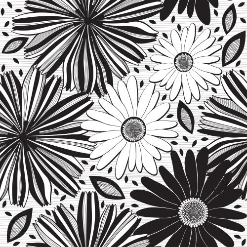 Chamomile. Vector stylized flowers of chicory and daisies on white in stripes