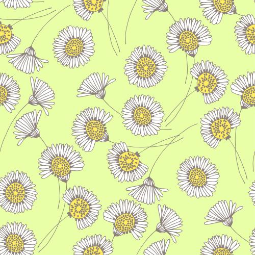 Chamomile. Vector daisies on green