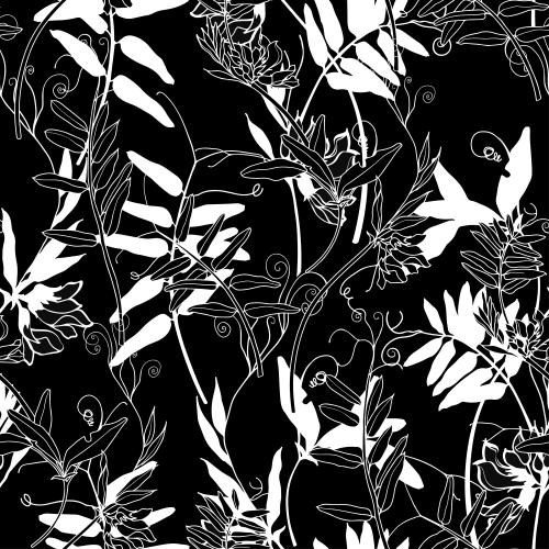 Vector image field flowers white silhouettes and contours on black