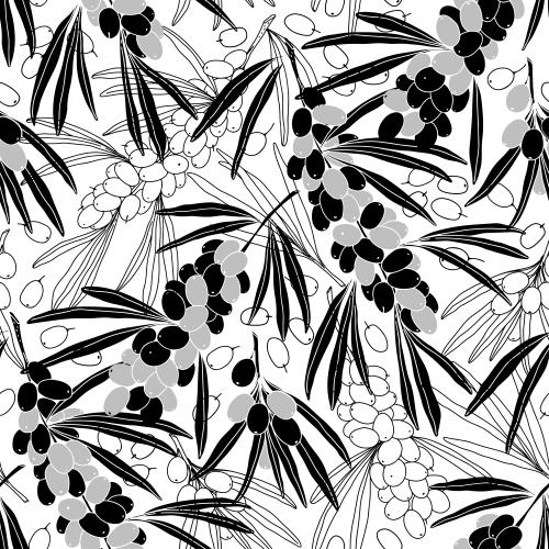 Illustration sea buckthorn monochrome branches with berries on white