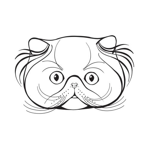 Persian cat. Vector persian cat, cute face on white