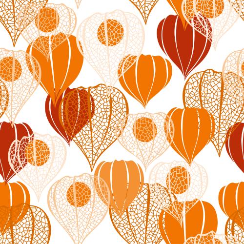 Vector image physalis, colorful silhouettes and delicate outlines with berries on white
