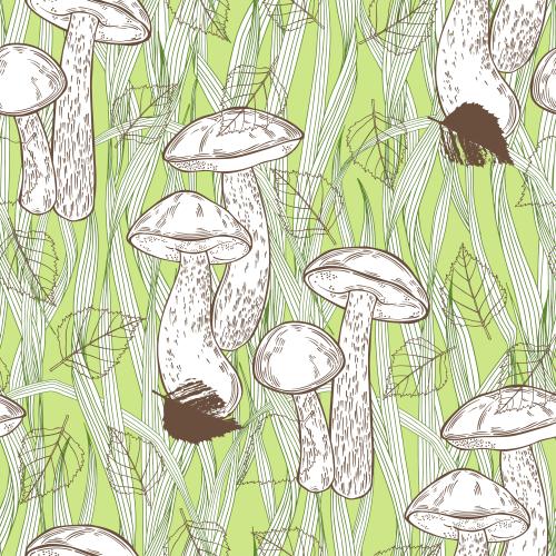 Vector image bolete mushrooms, birch leaves, grass on green