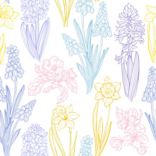 Apple tree. Vector spring flowers: muscaris, hyacinths, daffodils, and apple blossoms on white