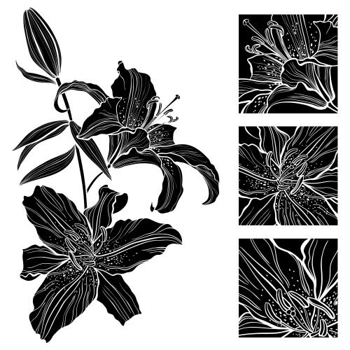 Lily. Vector black lily silhouette three squares with flower fragments on white